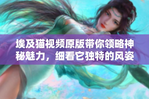 埃及猫视频原版带你领略神秘魅力，细看它独特的风姿与魅力！