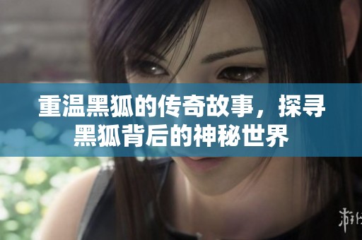 重温黑狐的传奇故事，探寻黑狐背后的神秘世界