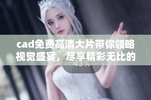 cad免费高清大片带你领略视觉盛宴，尽享精彩无比的精彩作品
