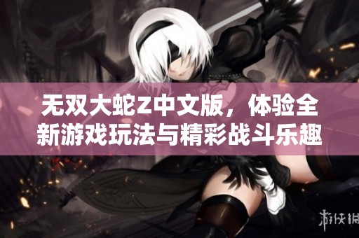 无双大蛇Z中文版，体验全新游戏玩法与精彩战斗乐趣吧