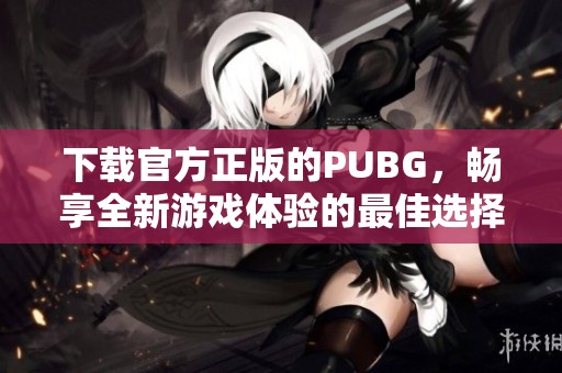 下载官方正版的PUBG，畅享全新游戏体验的最佳选择