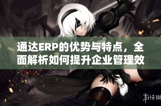 通达ERP的优势与特点，全面解析如何提升企业管理效率