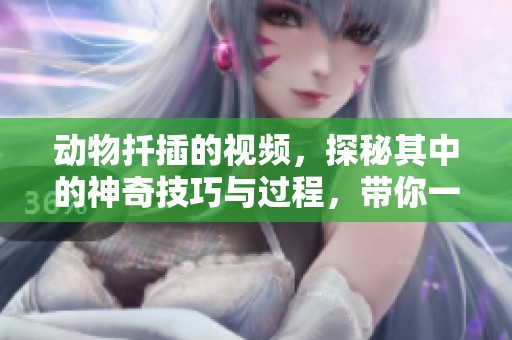 动物扦插的视频，探秘其中的神奇技巧与过程，带你一探究竟！