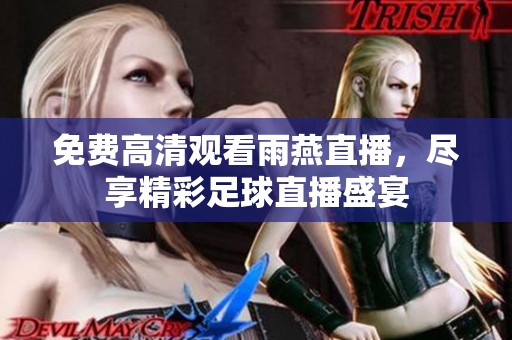 免费高清观看雨燕直播，尽享精彩足球直播盛宴
