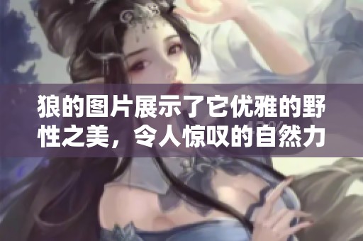 狼的图片展示了它优雅的野性之美，令人惊叹的自然力量。