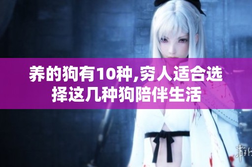 养的狗有10种,穷人适合选择这几种狗陪伴生活