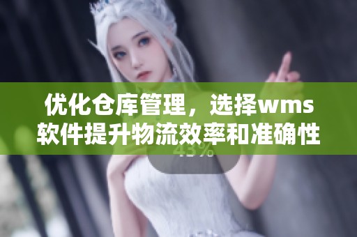 优化仓库管理，选择wms软件提升物流效率和准确性