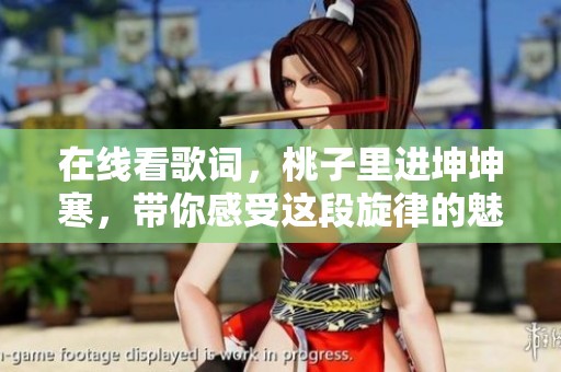 在线看歌词，桃子里进坤坤寒，带你感受这段旋律的魅力