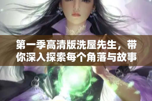 第一季高清版洗屋先生，带你深入探索每个角落与故事