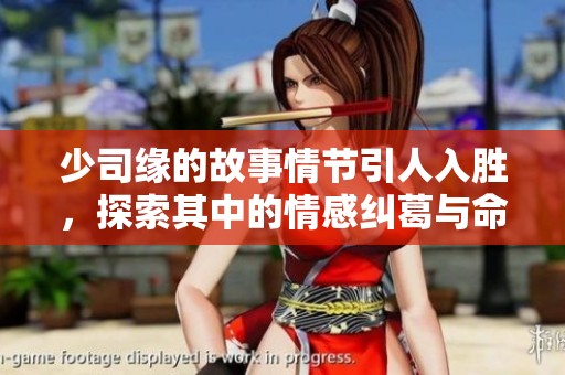 少司缘的故事情节引人入胜，探索其中的情感纠葛与命运交错