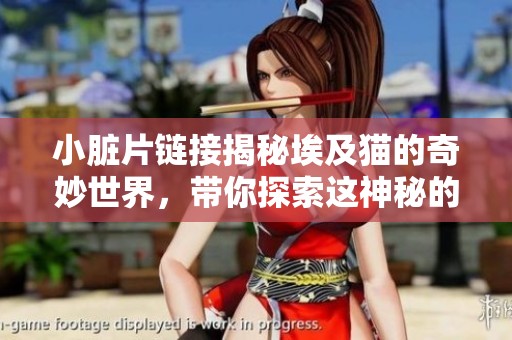 小脏片链接揭秘埃及猫的奇妙世界，带你探索这神秘的猫咪文化