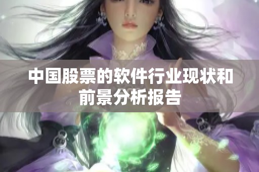 中国股票的软件行业现状和前景分析报告