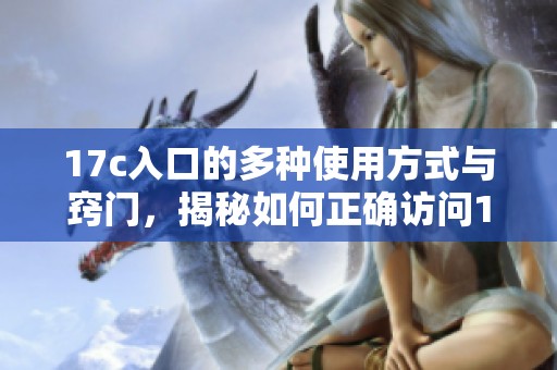 17c入口的多种使用方式与窍门，揭秘如何正确访问17c入口的方法