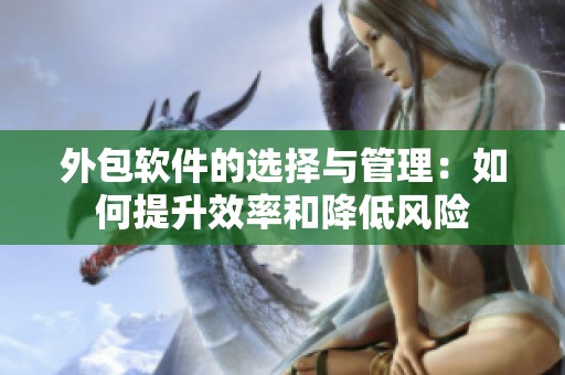 外包软件的选择与管理：如何提升效率和降低风险
