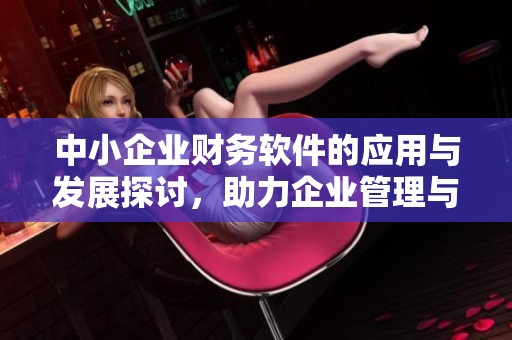 中小企业财务软件的应用与发展探讨，助力企业管理与决策提升
