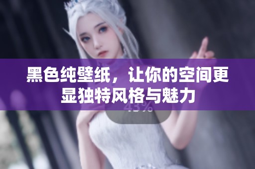 黑色纯壁纸，让你的空间更显独特风格与魅力