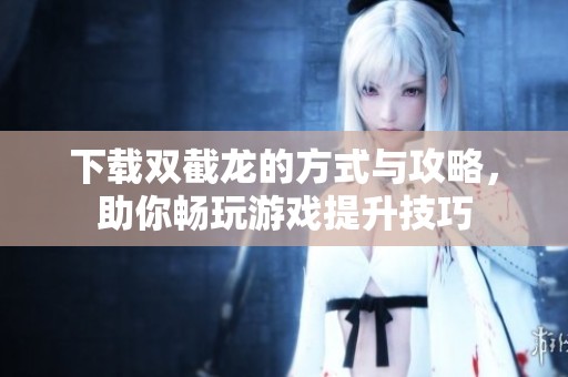下载双截龙的方式与攻略，助你畅玩游戏提升技巧