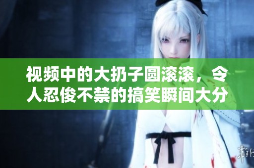 视频中的大扔子圆滚滚，令人忍俊不禁的搞笑瞬间大分享
