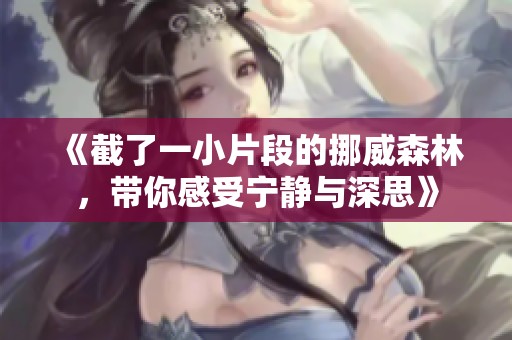 《截了一小片段的挪威森林，带你感受宁静与深思》