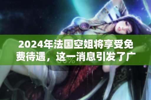 2024年法国空姐将享受免费待遇，这一消息引发了广泛关注与讨论