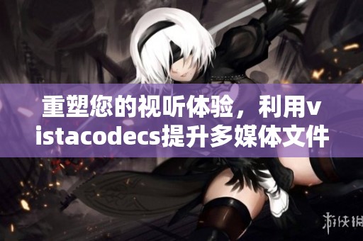 重塑您的视听体验，利用vistacodecs提升多媒体文件播放效果