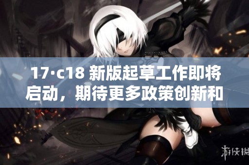 17·c18 新版起草工作即将启动，期待更多政策创新和发展机遇