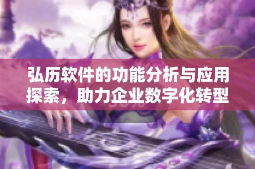 弘历软件的功能分析与应用探索，助力企业数字化转型与管理提升