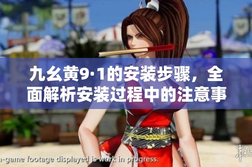 九幺黄9·1的安装步骤，全面解析安装过程中的注意事项与技巧