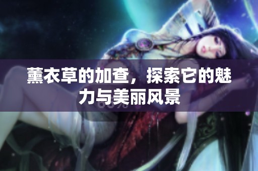 薰衣草的加查，探索它的魅力与美丽风景