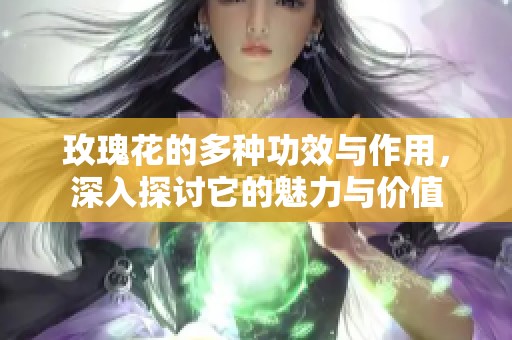 玫瑰花的多种功效与作用，深入探讨它的魅力与价值