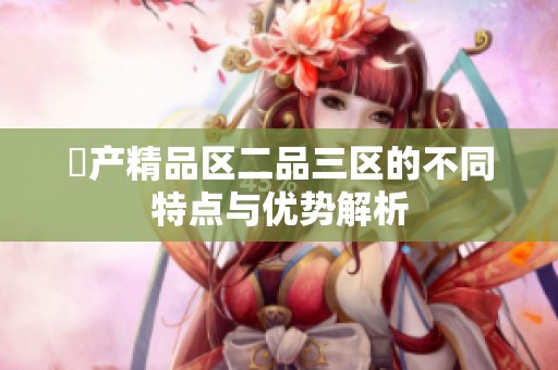 囯产精品区二品三区的不同特点与优势解析