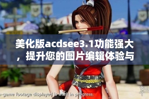 美化版acdsee3.1功能强大，提升您的图片编辑体验与效果