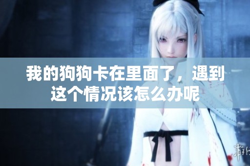 我的狗狗卡在里面了，遇到这个情况该怎么办呢