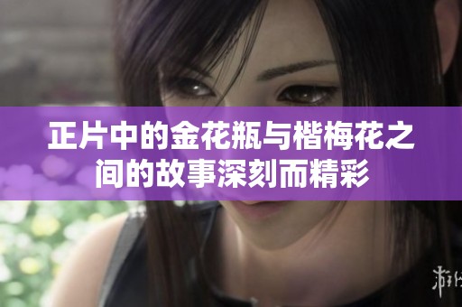 正片中的金花瓶与楷梅花之间的故事深刻而精彩