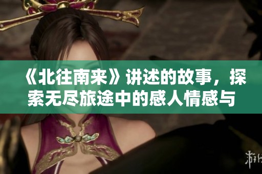 《北往南来》讲述的故事，探索无尽旅途中的感人情感与人生经历