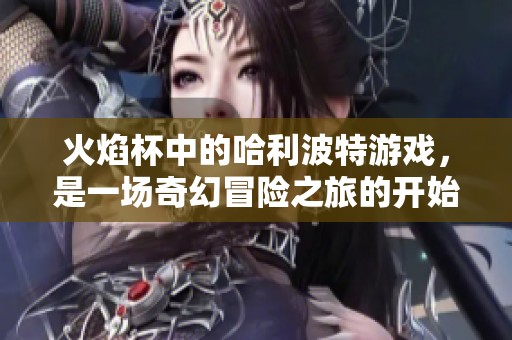 火焰杯中的哈利波特游戏，是一场奇幻冒险之旅的开始
