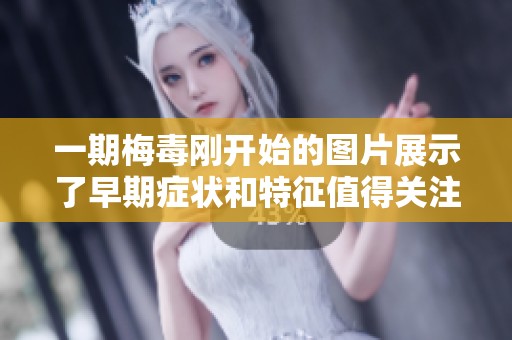 一期梅毒刚开始的图片展示了早期症状和特征值得关注与研究