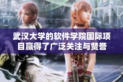 武汉大学的软件学院国际项目赢得了广泛关注与赞誉