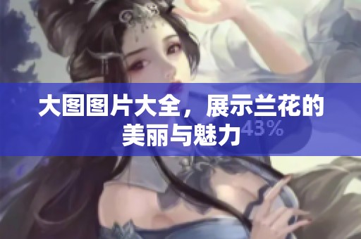 大图图片大全，展示兰花的美丽与魅力