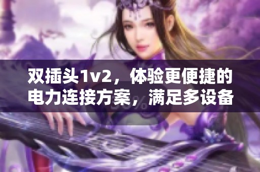 双插头1v2，体验更便捷的电力连接方案，满足多设备使用需求