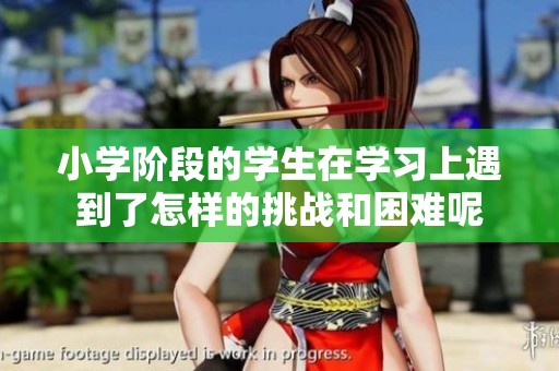 小学阶段的学生在学习上遇到了怎样的挑战和困难呢