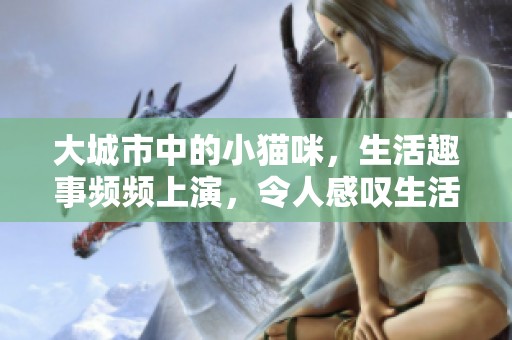大城市中的小猫咪，生活趣事频频上演，令人感叹生活的多彩与奇妙