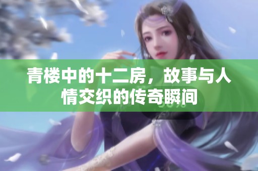 青楼中的十二房，故事与人情交织的传奇瞬间