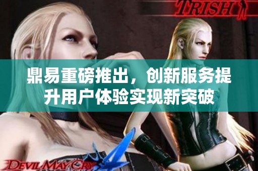 鼎易重磅推出，创新服务提升用户体验实现新突破