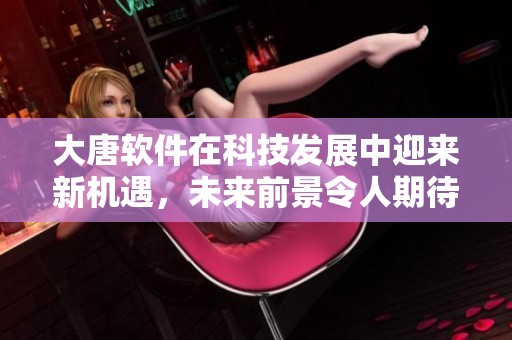 大唐软件在科技发展中迎来新机遇，未来前景令人期待