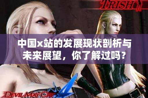 中国x站的发展现状剖析与未来展望，你了解过吗？