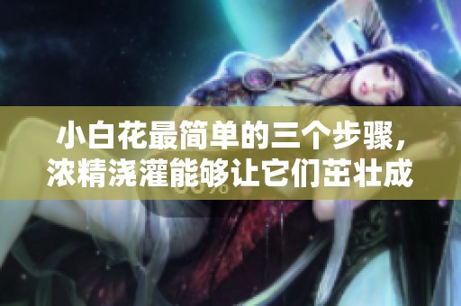 小白花最简单的三个步骤，浓精浇灌能够让它们茁壮成长