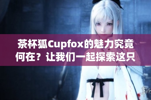 茶杯狐Cupfox的魅力究竟何在？让我们一起探索这只可爱的小动物吧