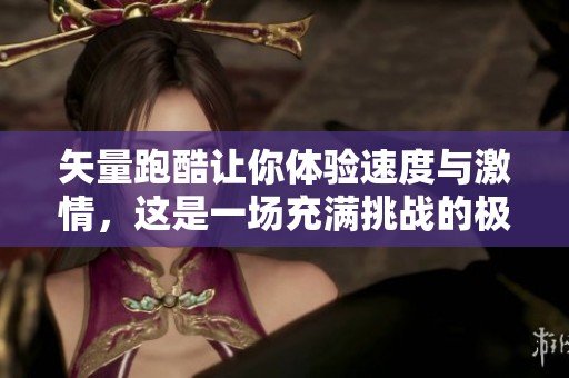 矢量跑酷让你体验速度与激情，这是一场充满挑战的极限之旅