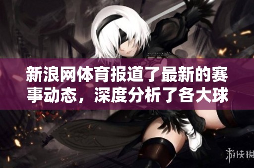 新浪网**报道了最新的赛事动态，深度分析了各大球队的表现与未来展望